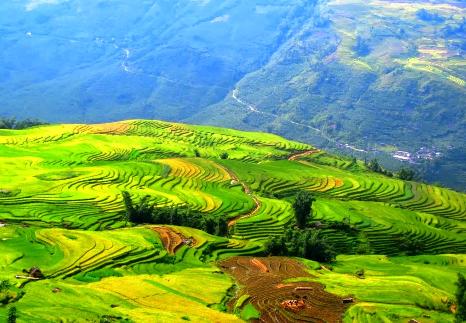 1-Day Sapa Trekking Tour to Cat Cat, San Sa Ho, Y Linh Ho Mong, Lao Chai San & Ta Van